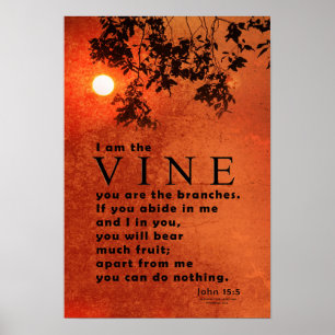 Mig förmiddag VINEN (den John 15:5) Poster