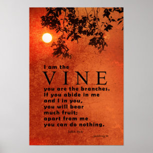 Mig förmiddag vinen… (scripturen: John 15:5) Poster