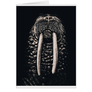 Mig förmiddag walrus.en hälsningskort