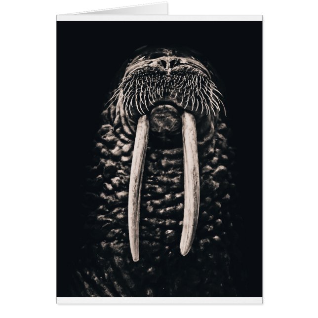 Mig förmiddag walrus.en hälsningskort (Framsidan)