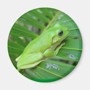 Mig förmiddaggrönt magnet