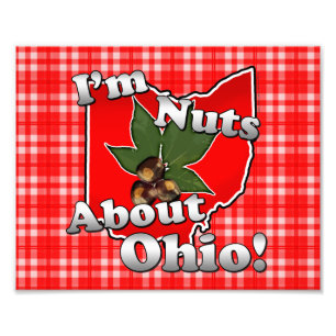 Mig förmiddagnöt om Ohio, roligt rött Buckeyen Fototryck