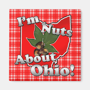 Mig förmiddagnöt om Ohio, roligt rött Buckeyen Magnet