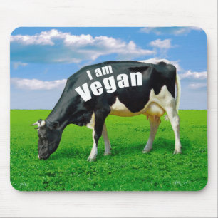 Mig förmiddagVegan Musmatta