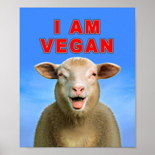MIG FÖRMIDDAGVEGAN POSTER