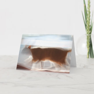 Mig först!!! Hälsningkort Kort