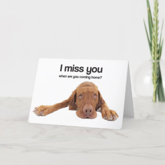 Mig Fröcken dig (Vizsla) Kort