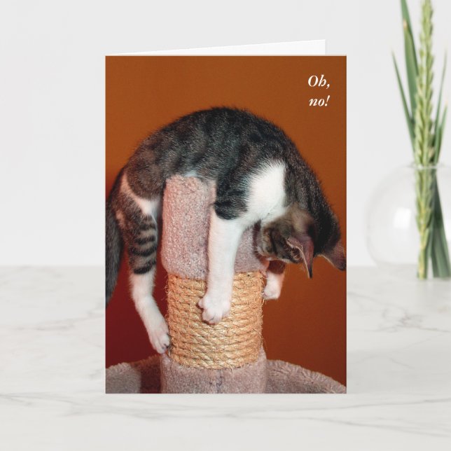 Mig hängning i där humoristiskt kattservicekort kort (Framsida)