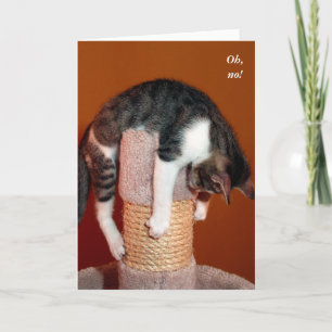 Mig hängning i där humoristiskt kattservicekort kort