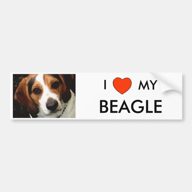 Mig hjärta MIN BEAGLE Bildekal (Framsidan)