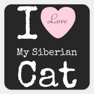 Mig hjärta min Siberian kattklistermärke Fyrkantigt Klistermärke