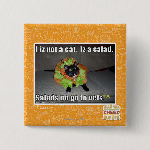 Mig iz inte en katt. Iz en salad. Knapp