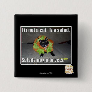 Mig iz inte en katt. Iz en salad. Knapp