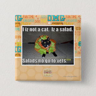Mig iz inte en katt. Iz en salad. Knapp