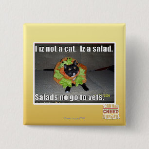 Mig iz inte en katt. Iz en salad. Knapp