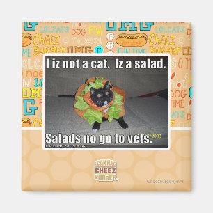 Mig iz inte en katt. Iz en salad. Magnet