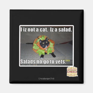 Mig iz inte en katt. Iz en salad. Magnet