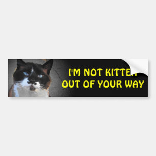 Mig kattunge för förmiddag inte ut ur ditt lång bildekal