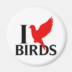 Mig love birds magnet