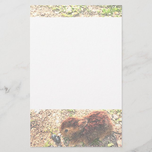 MIG LUV-KANINER! Gulligt Brevpapper (Framsida)