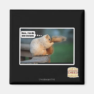 Mig ny shampoo för luvdis magnet