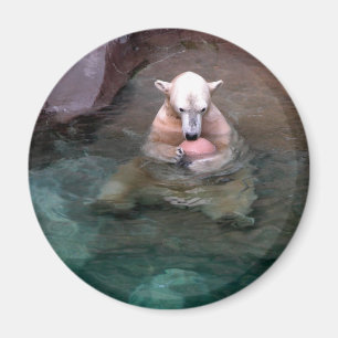 Mig och min boll magnet