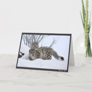 Mig och min Pal Kort