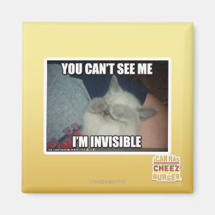 Mig osynlig förmiddag magnet