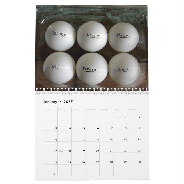 mig som ljuger i daisy, 2011 kalender (Jan 2027)