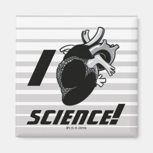 Mig vetenskap (för Anatomical hjärta) Magnet