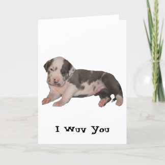 Mig Wuv dig Kort