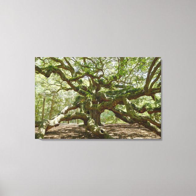 Mighty Angel Oak Canvastryck (Framsida)