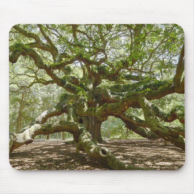 Mighty Angel Oak Musmatta (Framsidan)