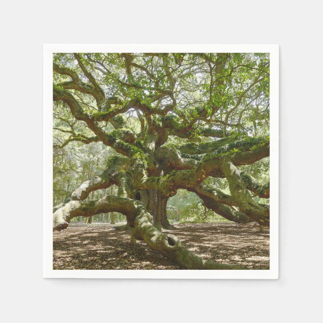 Mighty Angel Oak Pappersservett (Framsidan)