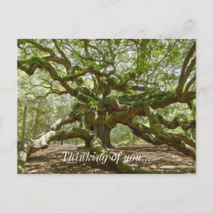 Mighty Angel Oak Vykort