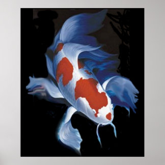 Mighty Koi Poster