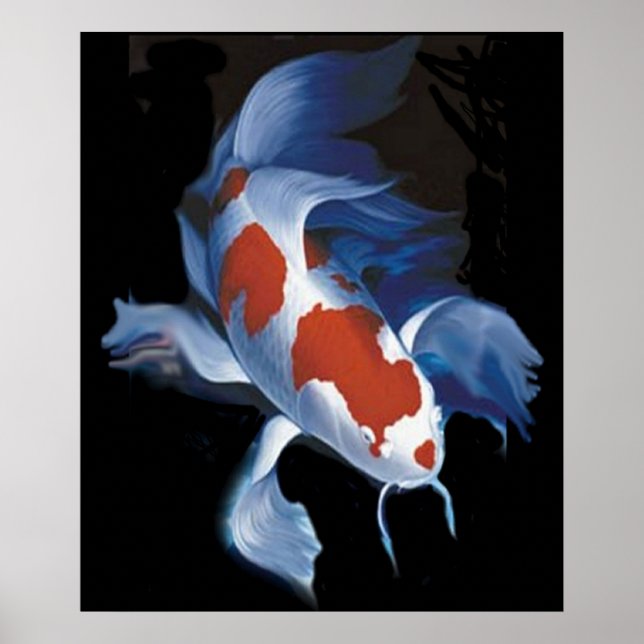 Mighty Koi Poster (Framsidan)