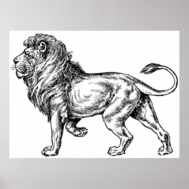 Mighty Lejon Sketch Poster (Framsidan)