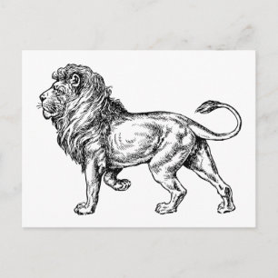 Mighty Lion Sketch Vykort
