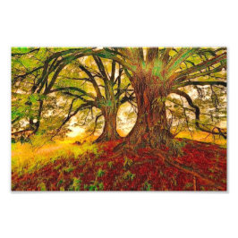 Mighty Oak Fototryck