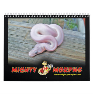 MightyMorphs kalender