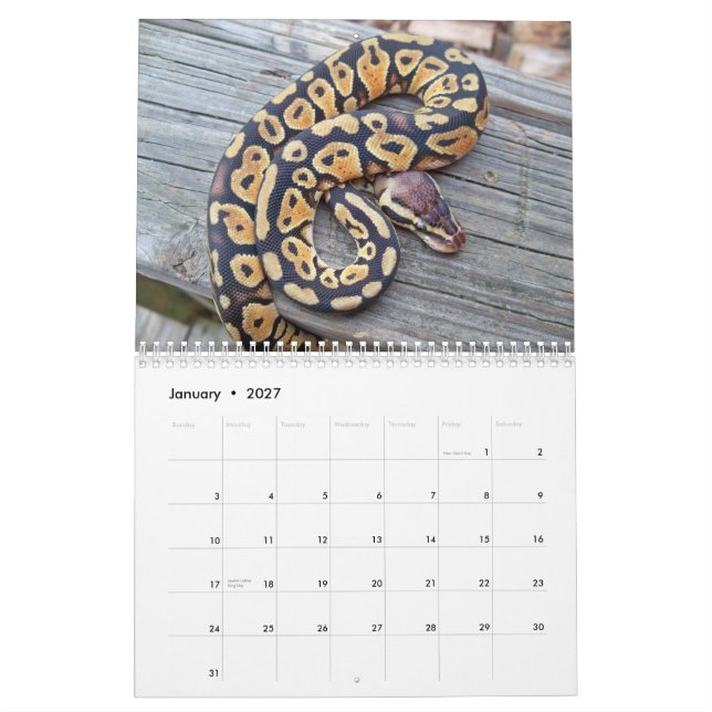 MightyMorphs kalender (Jan 2027)