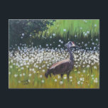 Migrating Sandhill Cranes Vykort<br><div class="desc">Each year a couple of migrating Sandhill Cranes land in a field of dandelions in Fairbanks.</div>