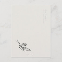 Migratory Swallow- Naturalist Menagerie Archive  Vykort