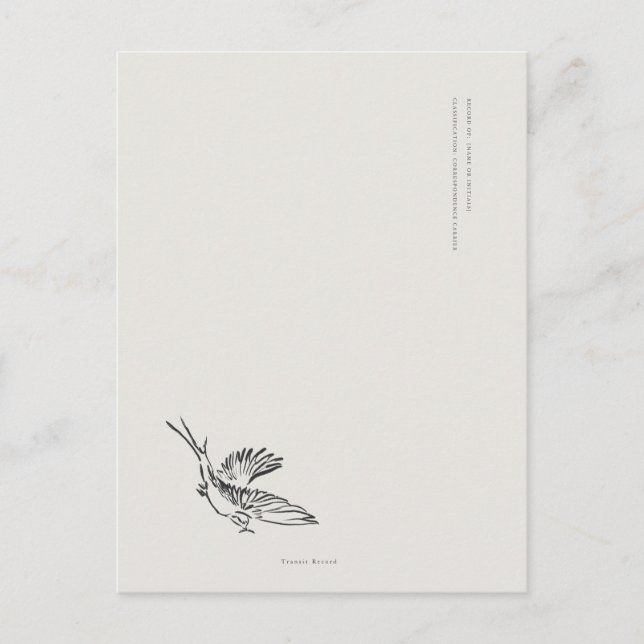 Migratory Swallow- Naturalist Menagerie Archive  Vykort (Framsida)