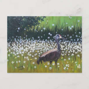 Migrera Sandhill Cranes Vykort