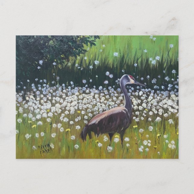 Migrera Sandhill Cranes Vykort (Framsida)