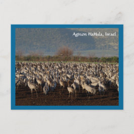 Migrerande fågelvykort vykort