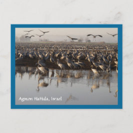 Migrerande fågelvykort vykort