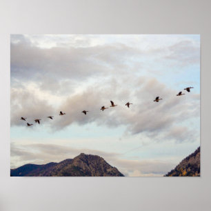 Migrering av fåglars-/naturfotografi poster